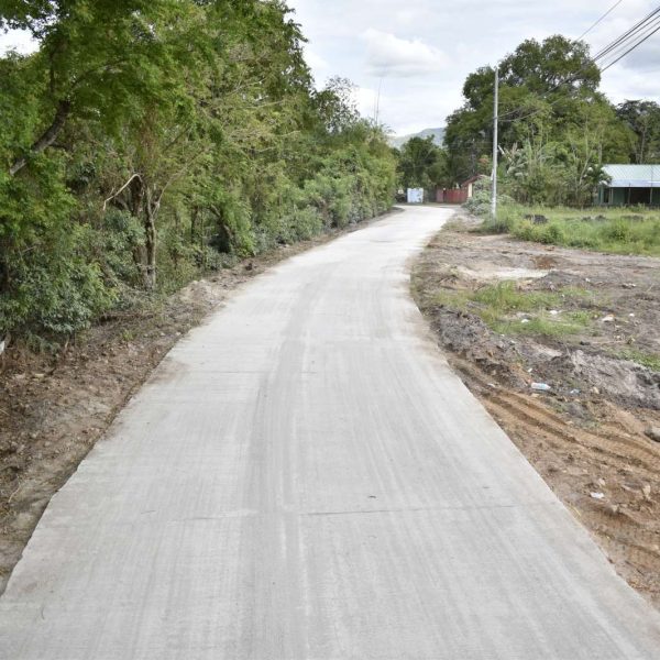 Provincial and Local Roads Improvement Program (PLRIP).