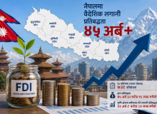 कृषिमा सबैभन्दा धेरै विदेशी लगानी, १० महिनामा ४५ अर्ब प्रतिबद्धता